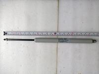 Gambar Gas Spring Bansbach K0B1K-3-160-513-500N dari Primasentris Kab. Bogor 3 Tokopedia
