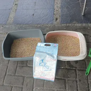 PAWSITIVE VIBES Tofu Candy Cat Litter 7L Pasir Kucing Harum - Pasir Kucing Gumpal Pasir Kucing Soya