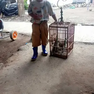 Sepatu Boot Anak Laki Perempuan 26-35 Karet Anti Air Import Tung Tung Sahur Viral Fashion Motif Cappuccino Assassino Keren Terbaru Sepatu Bot anak Boots Anak Laki Boots Anak Perempuan Bot 1Tahun Kaki