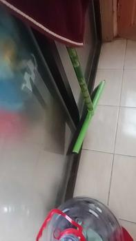 Product Review of sorok air lantai sorok spon serbaguna from ** 0