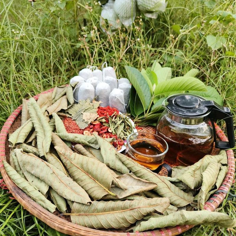 60 túi lọc [TẶNG THÊM 15 GÓI TRÀ XAY] trà lá ổi 8 vị MỘC LIÊN : lá ổi, cỏ ngọt, giảocổlam, lá sen, gạo lứt,kỳ tử, táo đỏ, đậu đen