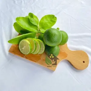 Kemasan 1kg Jeruk Nipis Fresh Lokal Premium