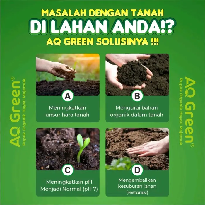Aq Green Gold 1000 grm Pupuk Untuk Karet Sawit Pelebat Buah Penyubur Tanah Peningkat Hasil Panen 1