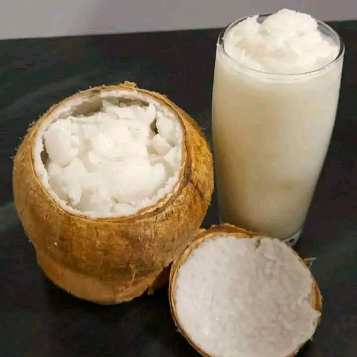 kelapa kopyor besar 1 biji enak segar gurih