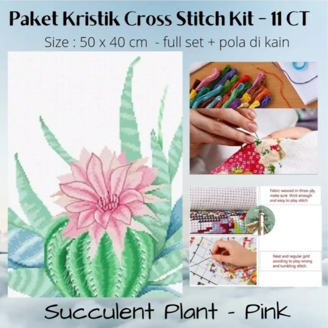Succulent Pink