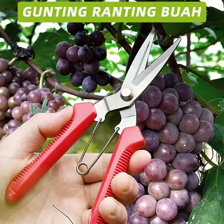 Gunting Dahan - Gunting Kebun & Taman /Ranting Bunga Tanaman-Stainless Steel Garden Shear