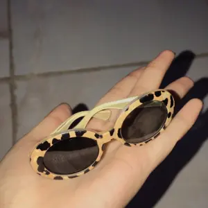 (KM47) Kacamata Hewan Peliharaan Warna Hitam Model Mata Kucing Anjing