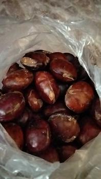 Product Review of jengkol tua belom di rendem from m**a a**a 1