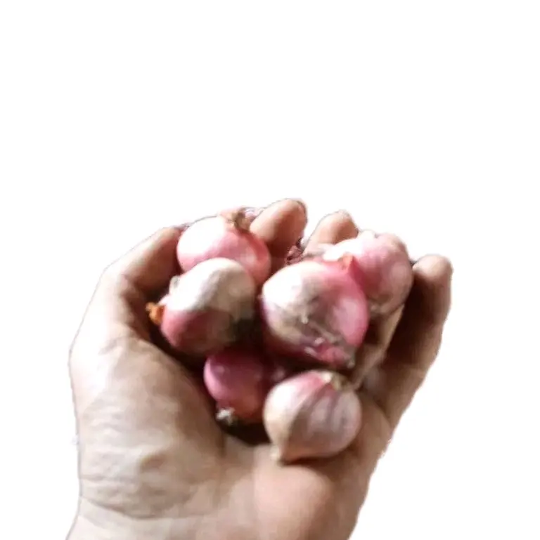 Bawang Merah Kering 1Kg  Spices-Bumbu Dapur Kering-Rempah Bumbu Masak Food Masakan Lezat 2
