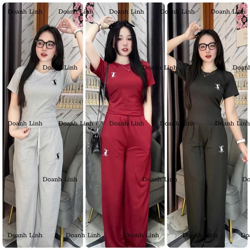 Bộ quần áo nữ chất thun tăm  thêu ngựa, quần ống suông Hottrend