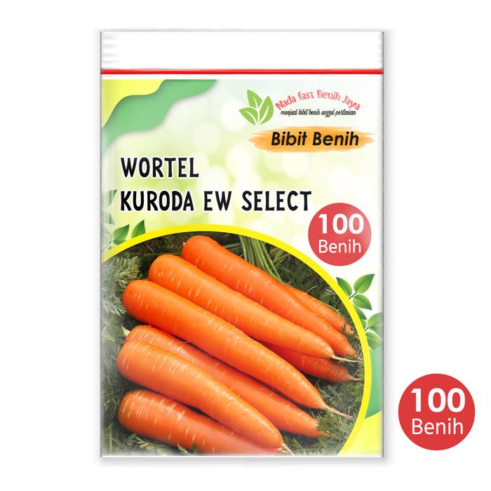 Gambar 100 biji benih WORTEL UNGGULAN - bibit sayuran wortel kuroda unggulan benih tanaman - Wortel dari Nada fast benih jaya Kab. Banyumas 4 Tokopedia