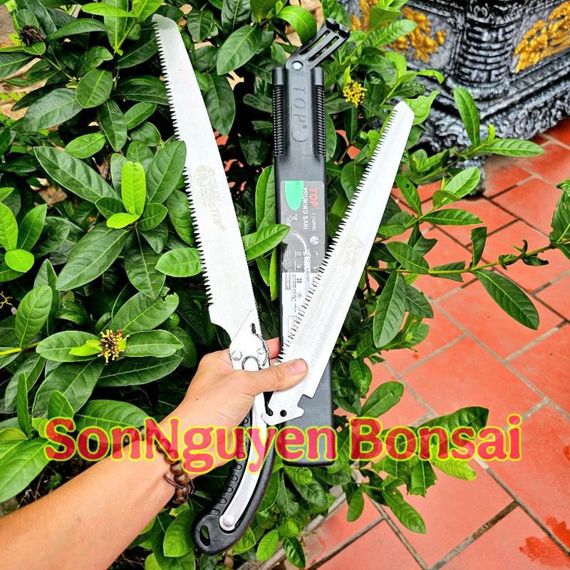 COMBO 1 Cưa Top Và 1 Lưỡi Cưa Top Thương Hiệu Top CHAN LONG Made in TAIWAN. Dụng Cụ Chuyên Dụng Cưa Cắt Cành Cây Hiệu Quả Sắc Bén.