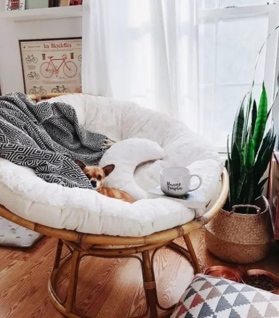 Manau Papasan With Natural Frame and cushion Included