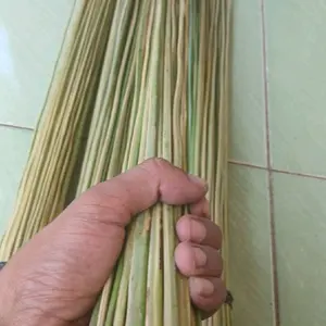 Satu paket sapu lidi aren & sapu lidi kelapa ,alat penebah,pembersih halaman,kasur ,lantai siap kirim