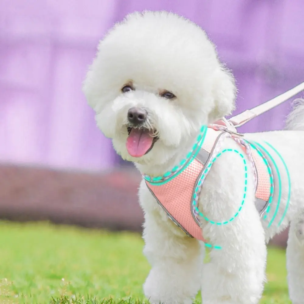 Breathable Dog Harness Vest Dog Walking Lead Leash Reflective Polyester Puppy Chest Strap Adjustable Dogs Cat Walking Leads Set for Outdoor