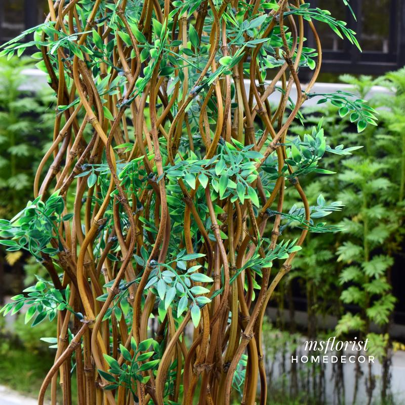 10 Btg Bambu Ulir Cendani Daun Cordelia 142 cm Tanpa Pot - Dekorasi Shabby Warna Natural 7