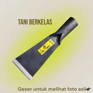 Dodos Kls Palm King pro ori