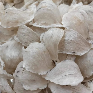 Cửa hàng tiện lợi KB
