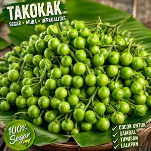 promo buah tekokak degar dan menyehatkan per 250 gram