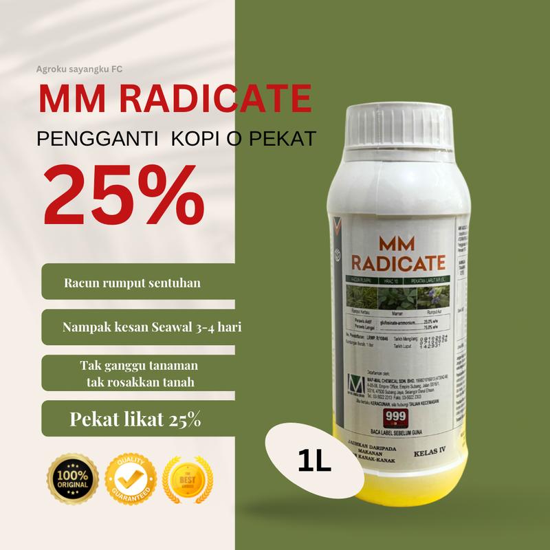 MM RADICATE 25% PENGGANTI KOPI PEKAT KAW - TikTok Shop Malaysia