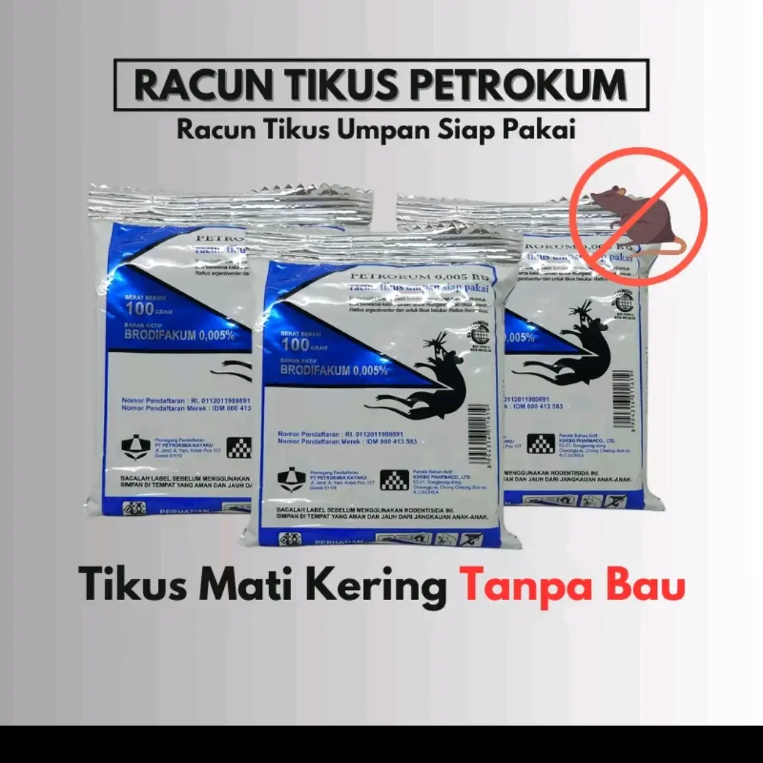 Racuntikus Petrokum Mati Kering - Obat Tikus Ampuh