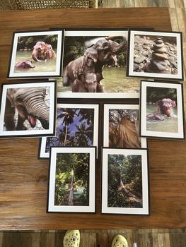 Product Review of (9 PCS) PAKET KODE 144 CETAK FOTO + BINGKAI MDF Dipasang di Dinding Modern Dekorasi Bukan Musiman dinding from J**z 0