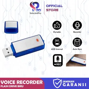 Voice Audio Recorder USB Flash Drive Flashdisk Memory 8GB Flashdrive