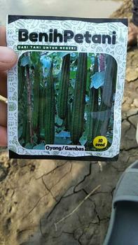Product Review of 10 Benih sayur gambas Oyong from n**" 0