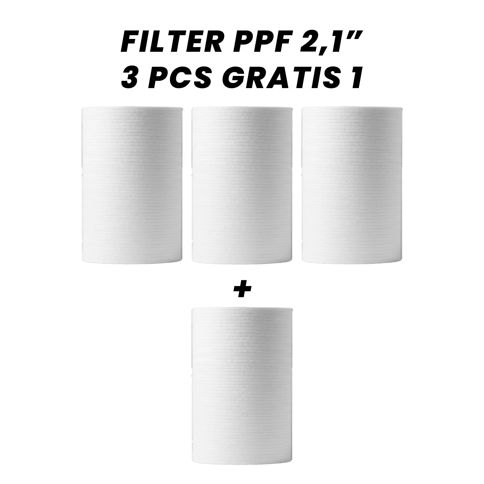 3+1 (PP 2.1")