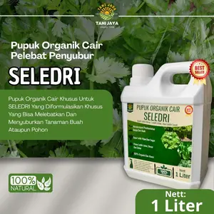 Pupuk Seledri Pemacu Pertumbuhan Tanaman Booster Seledri Pelebat Daun Cepat SuburDan Lebat