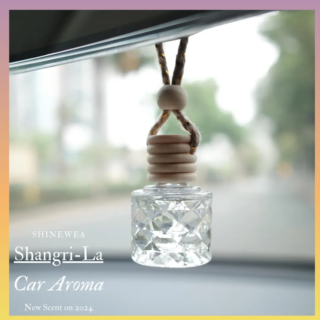 Car Air Freshener Car Fragrance Car Oil Diffuser Car Diffuser Car Accessories Car Perfume of Car Freshener