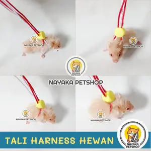 SPECIAL Tali Tuntun Hamster Harness Tupai Harnes Badan Sugar Glider Gerbil Bajing Marmut Kelinci Kadal