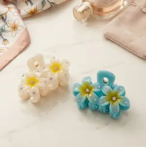 Jepit Rambug Wanita Salon Kj5-R55