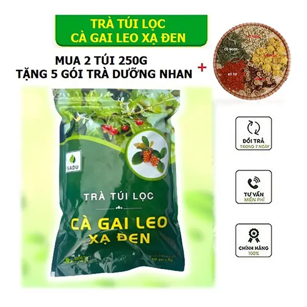 Trà Cà Gai Leo Xạ Đen Túi Lọc Tiện Dụng 250Gram, Mua 2 Túi Tặng 5 Gói Trà Dưỡng Nhan Ngũ Vị - Tea Nước Trà Chè 0