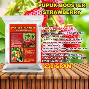 PUPUK BOOSTER STRAWBERRY KEMASAN 250GRAM KHUSUS TANAMAN STRAWBERRY