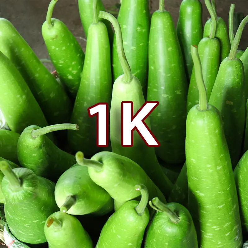 [Deal 1K] Hạt giống Rau Ăn Quả - Rau Ăn Trái, sinh trưởng mạnh, năng suất cao 6