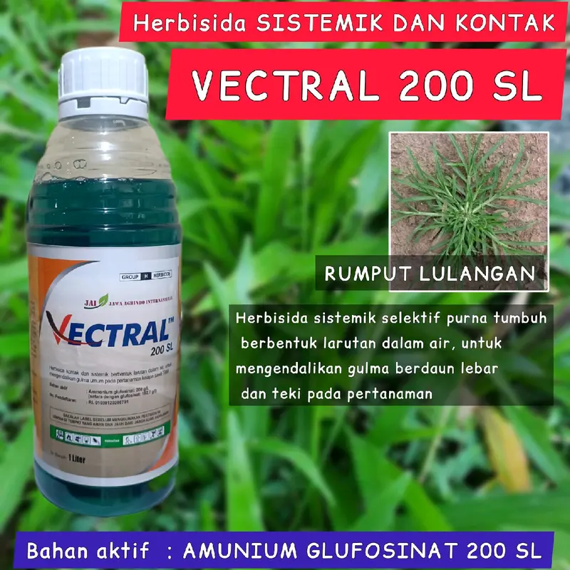 Herbisida Sistemik dan Kontak VECTRAL 500 ML Basmi Rumput Lulangan dan Teki 0