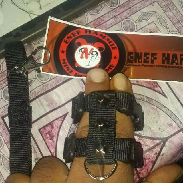 HARNES TALI SPIKE COCOK BUAT MAMALIA KECIL ATAU REPTIL