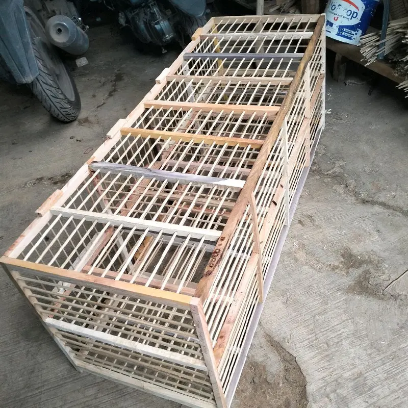 AMBRUKAN DONGDANG BURUNG MERPATI 3 PASANG 6 PINTU DONDANG MERPATI DARA AMBRUKAN BELUM DI RAKIT SANGKAR KANDANG DONDANG BURUNG dongdang  pintu  4 7