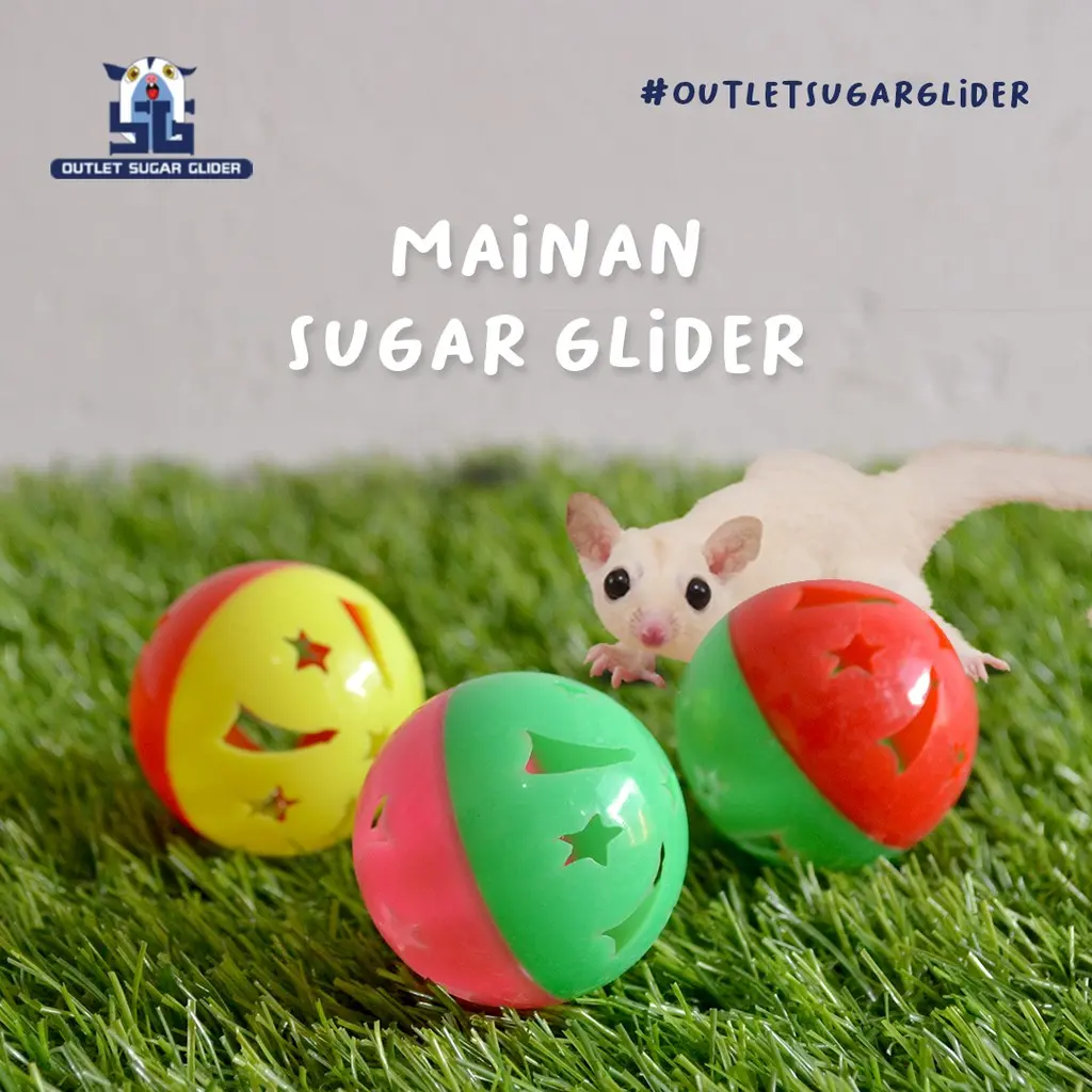 MAINAN BOLA SUGAR GLIDER  BURUNG HIAS  KUCING