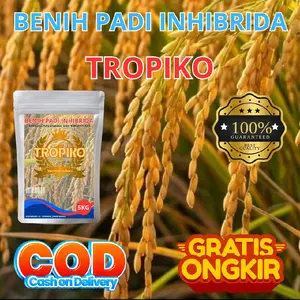 (1kg) Tropiko Benih Padi Inhibrida  Garansi Kualitas Terbaik COD Gratis Ongkir Varietas Unggul Ketahanan Hama & Penyakit Tinggi Rendemen