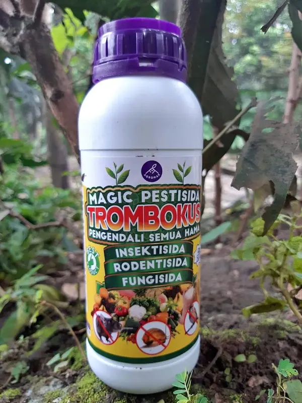 TROMBOKUS MAGIC PESTISIDA+ZPT SEBAGAI INSEKTISIDA, RODENTISIDA, FUNGISIDA ORGANIK PENGENDALI SEGALA HAMA BURUNG DAN TIKUS UNTUK SEMUA TANAMAN 7