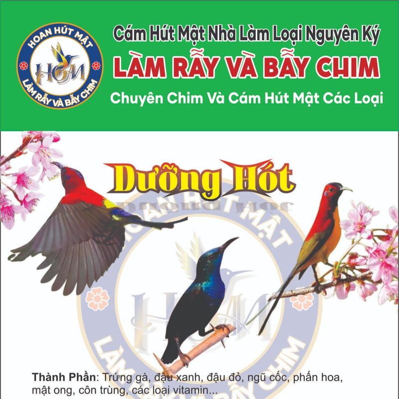 Cám Dưỡng Hót Chim Hút Mật Nguyên Ký Của Hoan Hút Mật