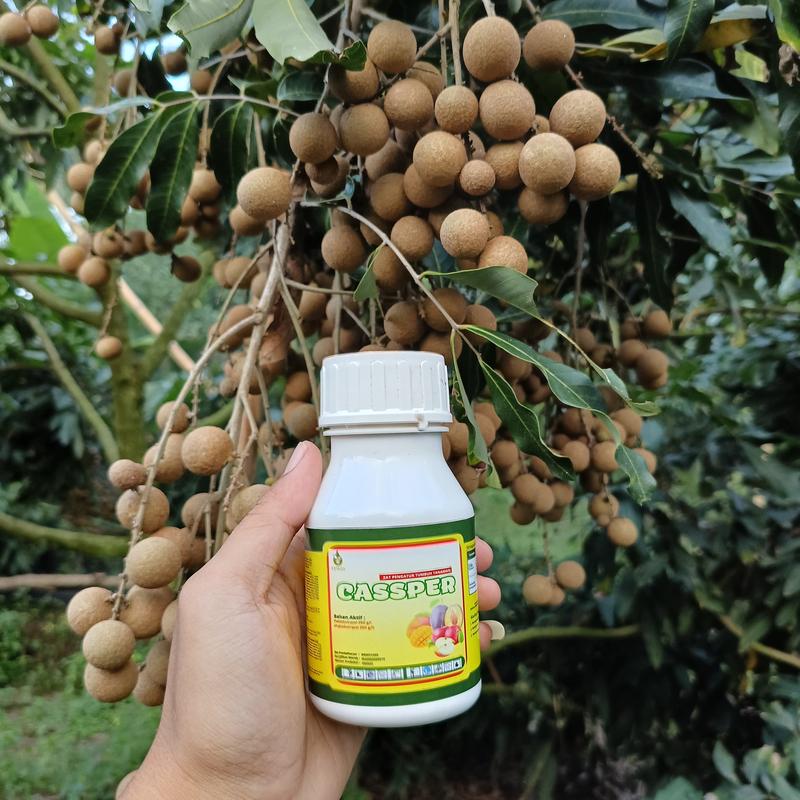 CETROS~ Zpt Cassper Pemacu Pembuahan Diluar Musim / Pupuk Cassper Perangsang Pembuahan Semua Jenis Tanaman Buah / Pupuk Pelebat Buah / Pupuk Pembuahan / Booster Buah / Bosster Durian Lengkeng Mangga 5
