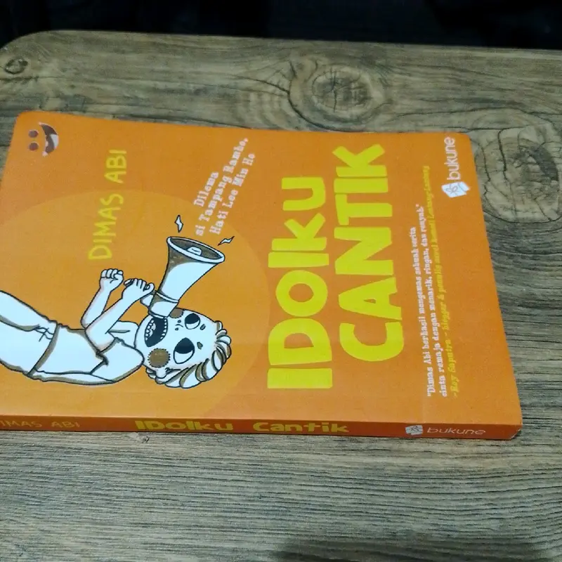 Buku Idolku Cantik karya dimas abi 2