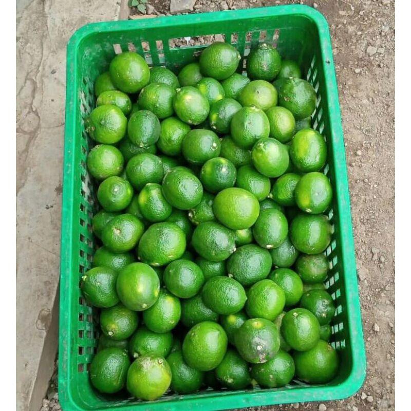 Lemon California 1 kg Fresh | dipetik Langsung dari Kebun