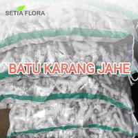 Gambar [INSTAN] Batu Alam Karang Jahe Media Aquarium Filter Kemasan Karungan Via INSTAN dari Setia Flora Kota Administrasi Jakarta Selatan 3 Tokopedia
