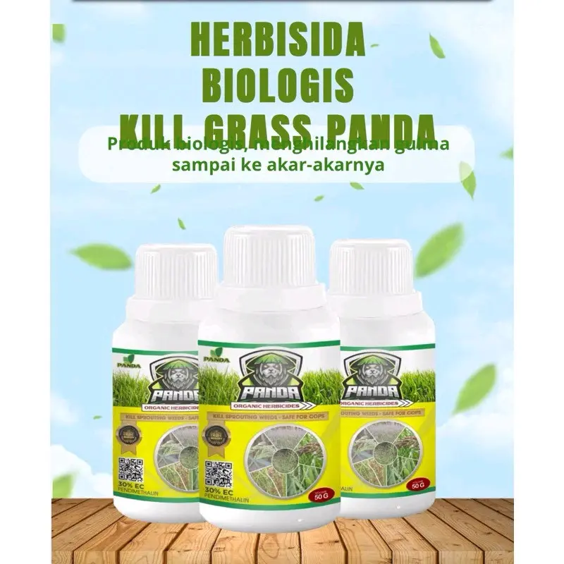 TERATAS TERLARIS KILL GRASS PANDA SERBUK RAJA PEMBUNUH GULMA BELI 1 GRATIS 1 Tanaman