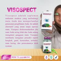 Gambar Visospect - Obat Mata Herbal untuk Glukoma Katarak Silinder Original BPOM - 60 Kapsul dari tau herbal_NEW Kab. Kediri 5 Tokopedia