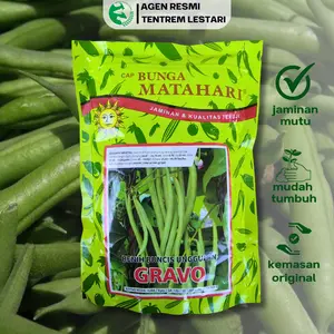 Benih Buncis GRAVO 500 Gram Cap Bunga Matahari Buah Lebat & Unggul